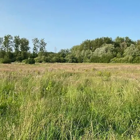 La D'opale Ferienhaus Brimeux