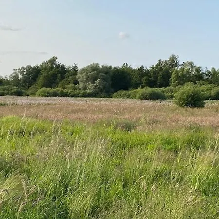 La D'opale * Brimeux